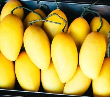 Various GI-tagged mango varieties from different states of India