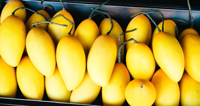 Various GI-tagged mango varieties from different states of India