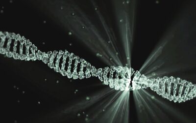 Patent Landscape Report: Synthetic Biological Trends in Gene Editing and Artificial Organisms