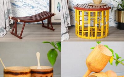 A bamboo innovation company creating sustainable products, by Shree sisters