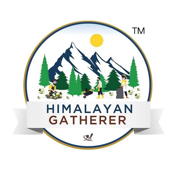 Inspiring Tales with Bindu: Bringing healthy food from the mountains to your plate: Kanav Vaidya & Himalayan Gatherer HG logo