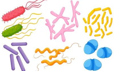 Patentability of microorganisms, Diamond v Chakrabarty case